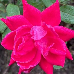 Meet your Posher, Keri